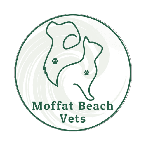 Moffat Beach Vets logo