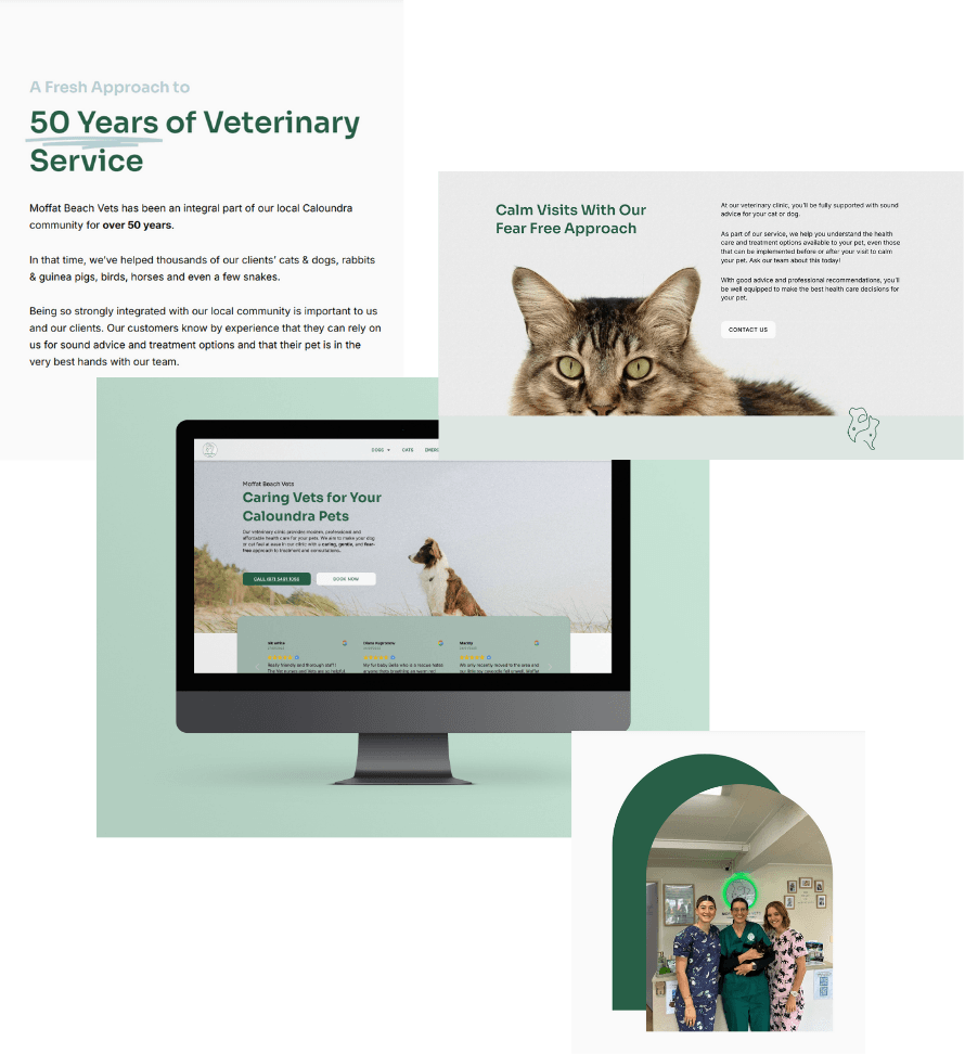 Moffat Beach Vets brand and website collateral
