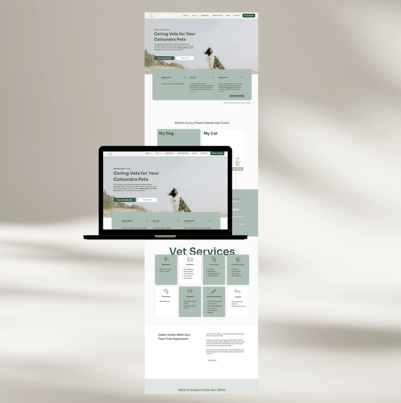 Moffat Beach Vets services page mockup