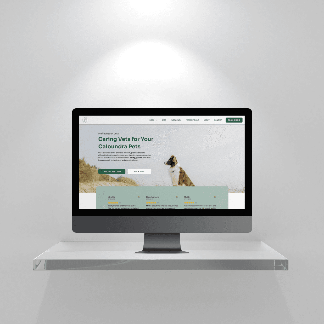 Moffat Beach Vets website on a monitor