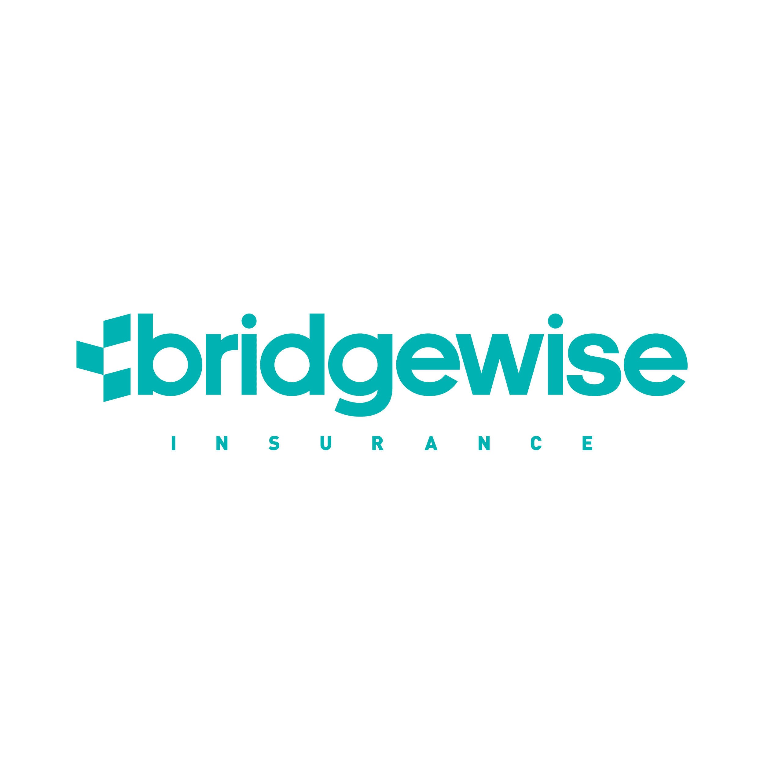 bridgewise logo primary 2